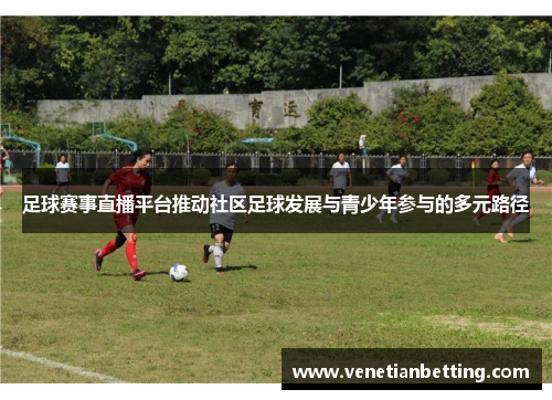 足球赛事直播平台推动社区足球发展与青少年参与的多元路径